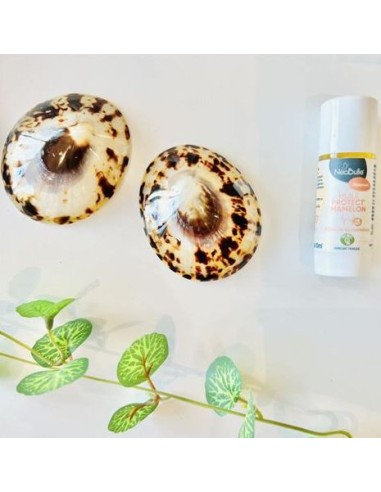 Coquillage d'allaitement - protection mammaire
