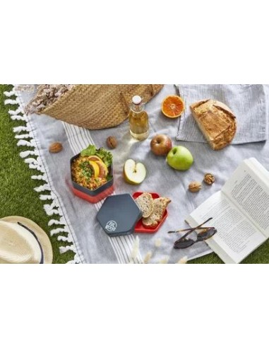 Grande Boite à déjeuner Lunchbox 'Bento' -...
