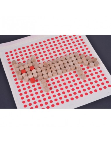 Pictocraft -jeu de formes by LJL STUDIO- LES...