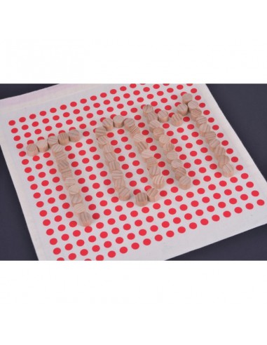 Pictocraft -jeu de formes by LJL STUDIO- LES...