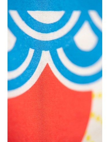 Koinobori Petit mousse (S) MADAME MO