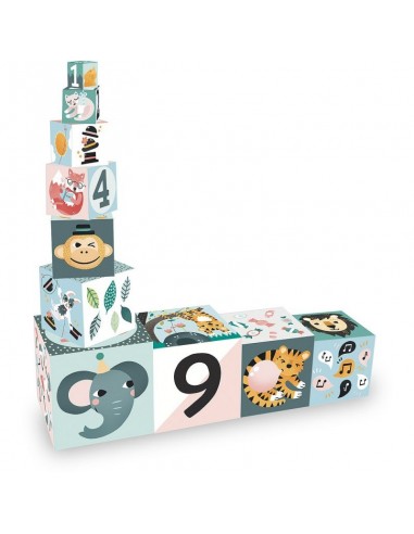 Cubes Gigognes les animaux Michelle Carlslund -...