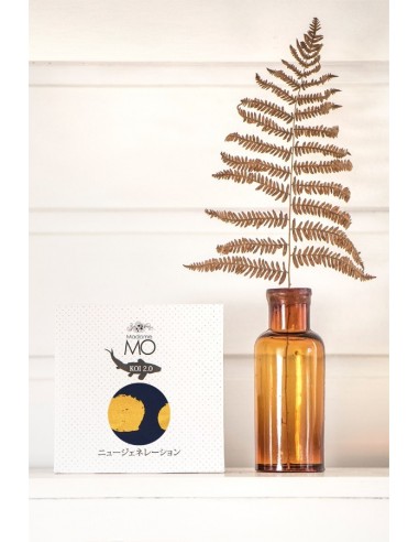 Koinobori Koroko (S) - MADAME MO