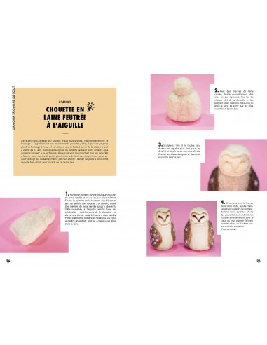 Livre Mon cahier d’activités Steiner de Monique...