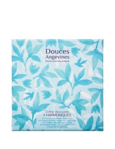 Coffret Les 4 harmoniques Soins corps aromatiques -...