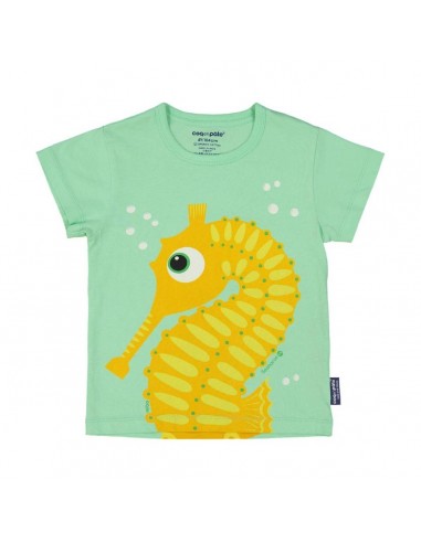 T-shirt hippocampe enfant en coton bio - COQ EN PÂTE