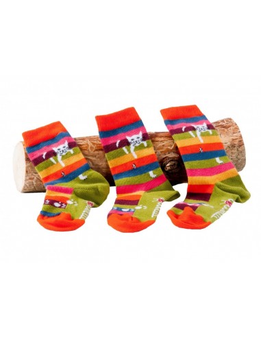 DORE DORE Chaussettes enfant Coton Lycra, Chaussettes / Bas